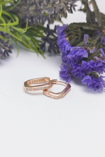 Elit Tasarım Zirkon Gümüş Küpe