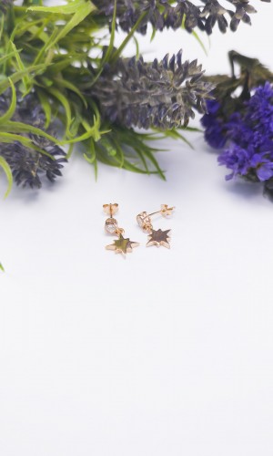 Yıldız Tasaım Zirkon Gümüş Küpe